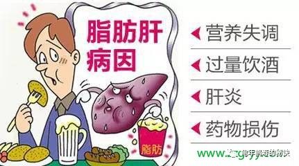 脂肪肝如何治疗怎么补硒