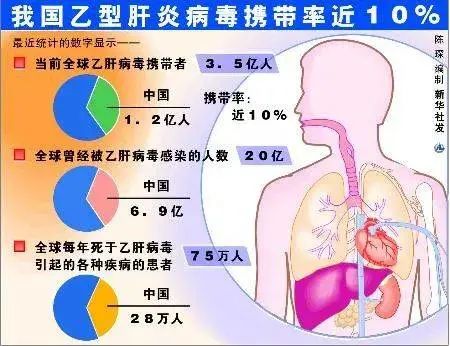 补硒多了会出现肝襄肿吗