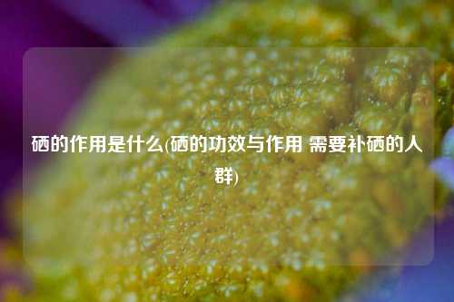 硒的作用是什么(硒的功效与作用 需要补硒的人群)