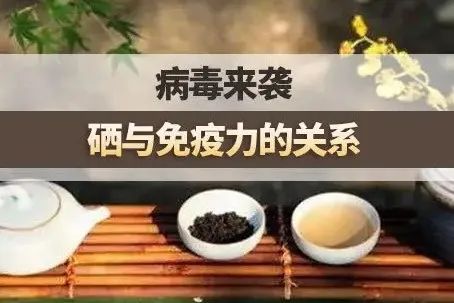 增强免疫力为啥要补硒呢