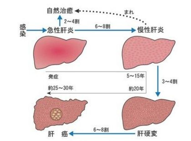 葡萄怎样补硒元素高一些