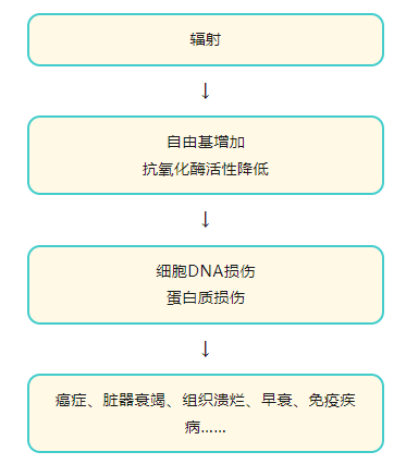 补硒对肾功能衰竭有用吗