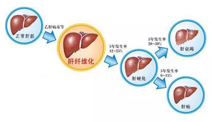 什么病不能补维生素硒呢