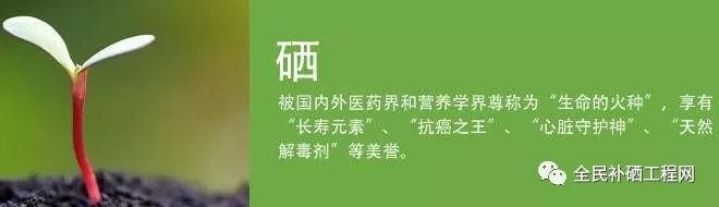 补硒对人体疾病有什么用