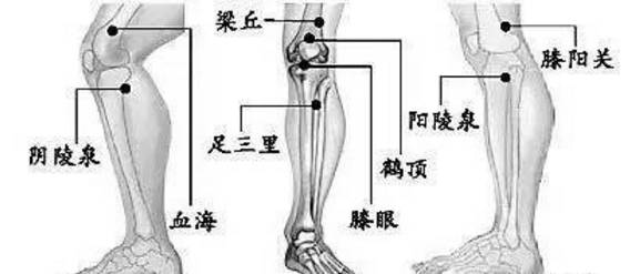 硒补多了会中毒么怎么办