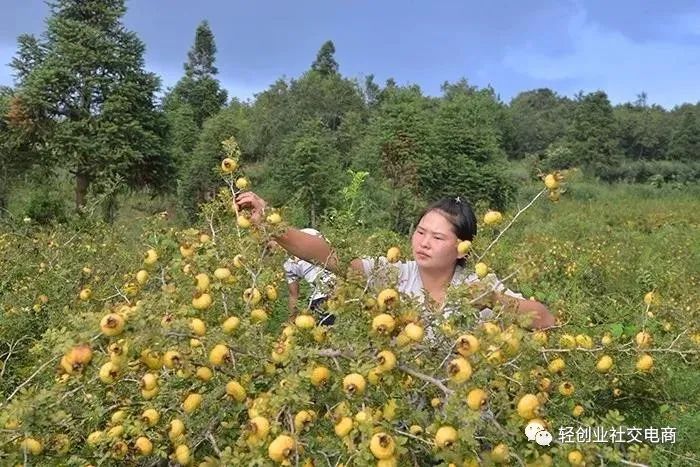 硒能补视网膜感光材料吗