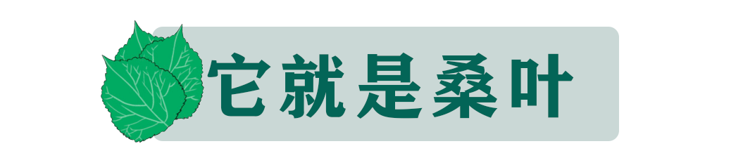 干桑葚泡水喝能不能补硒