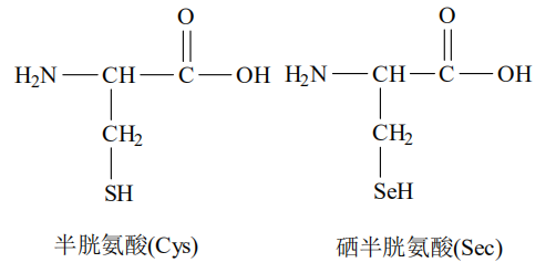 哪国的补硒产品好用一点