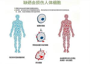 中老年人需要补硒元素吗