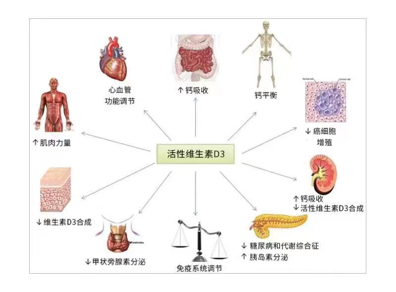 硒补剂分为哪几种类型的