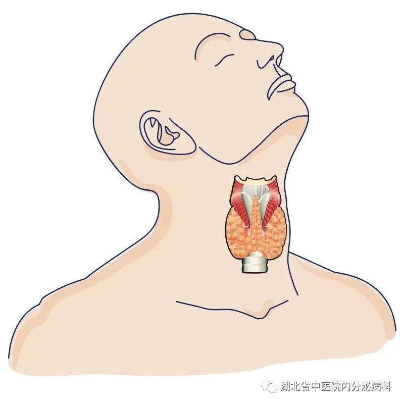 冬病夏治要不要补硒元素