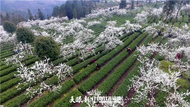 安顺富硒农产品认证标准