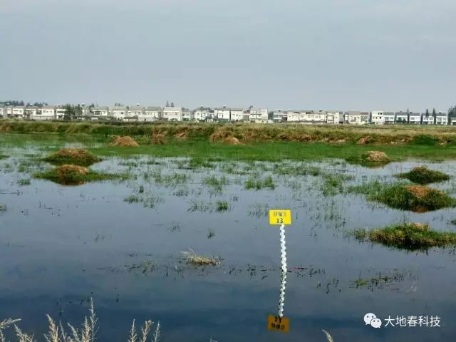 富硒农产品种植技术要点