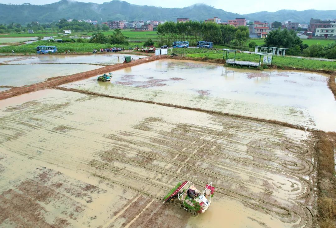 富硒农产品种植技术要点