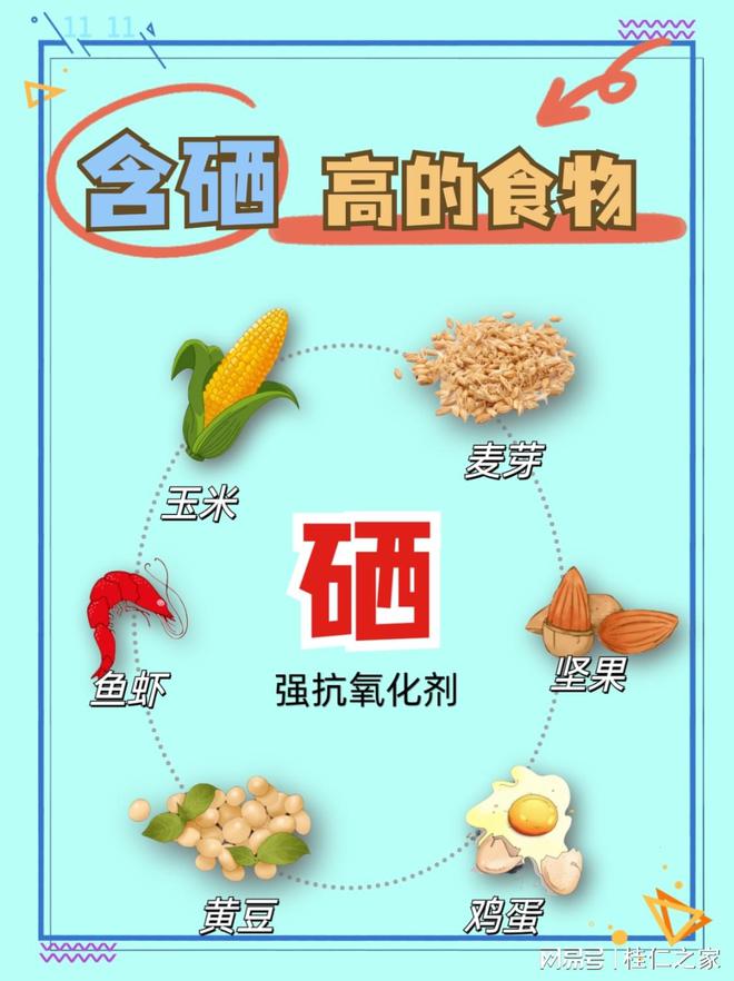 玉米富硒产品含量标准号