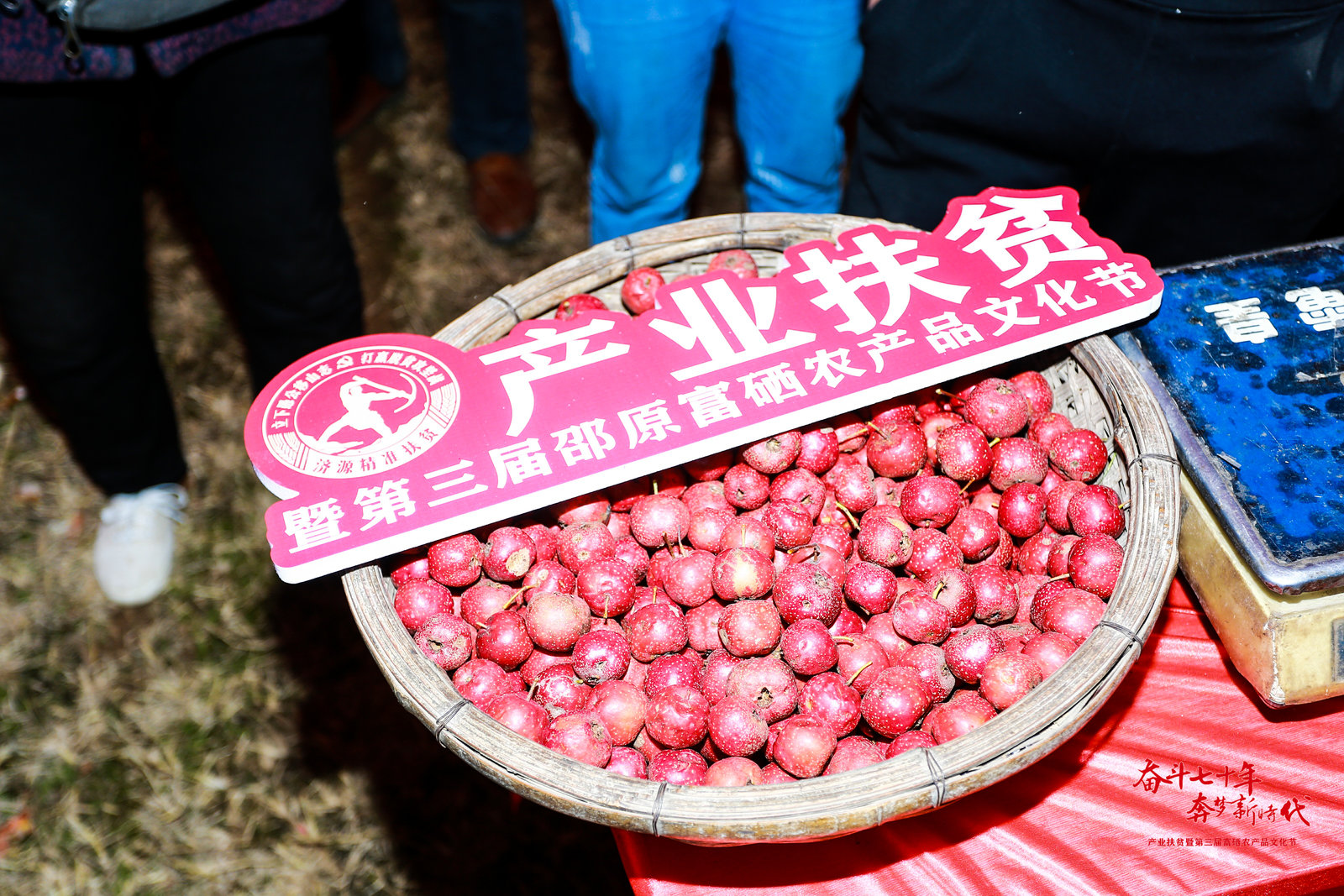 富硒农产品 报告怎么写