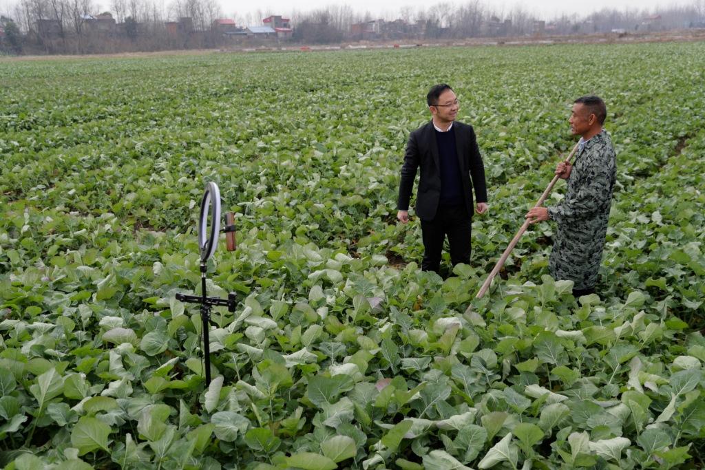 安徽池州富硒农产品基地