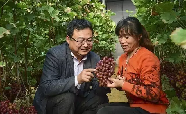 富硒农产品的作用和功效