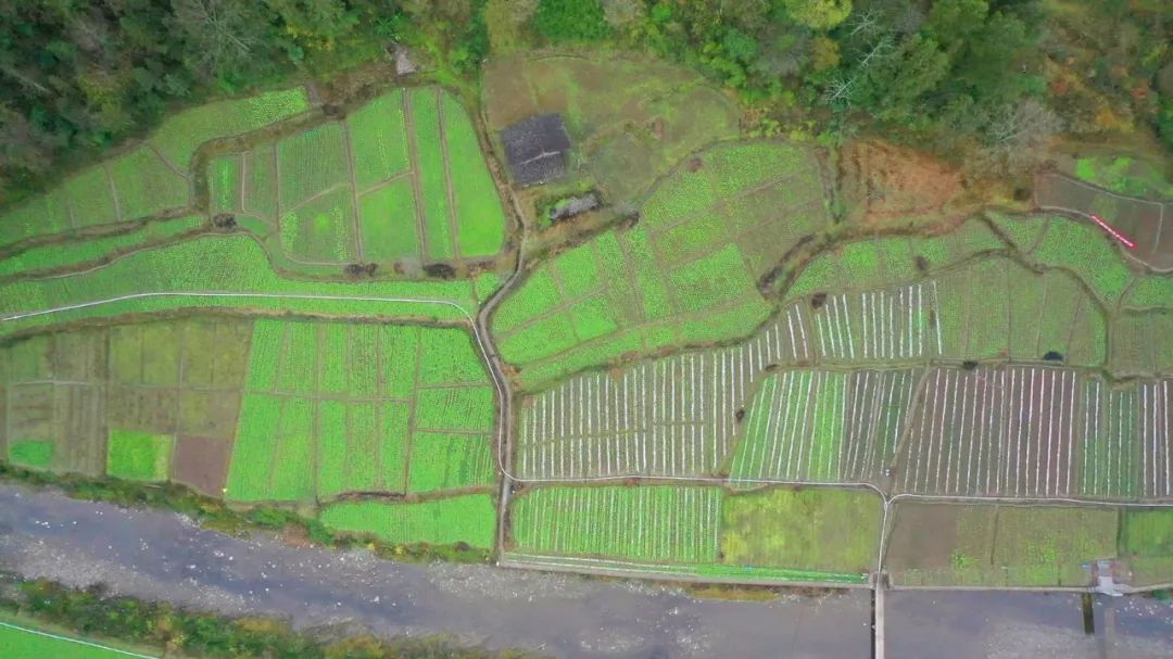 四川省富硒产品种植基地