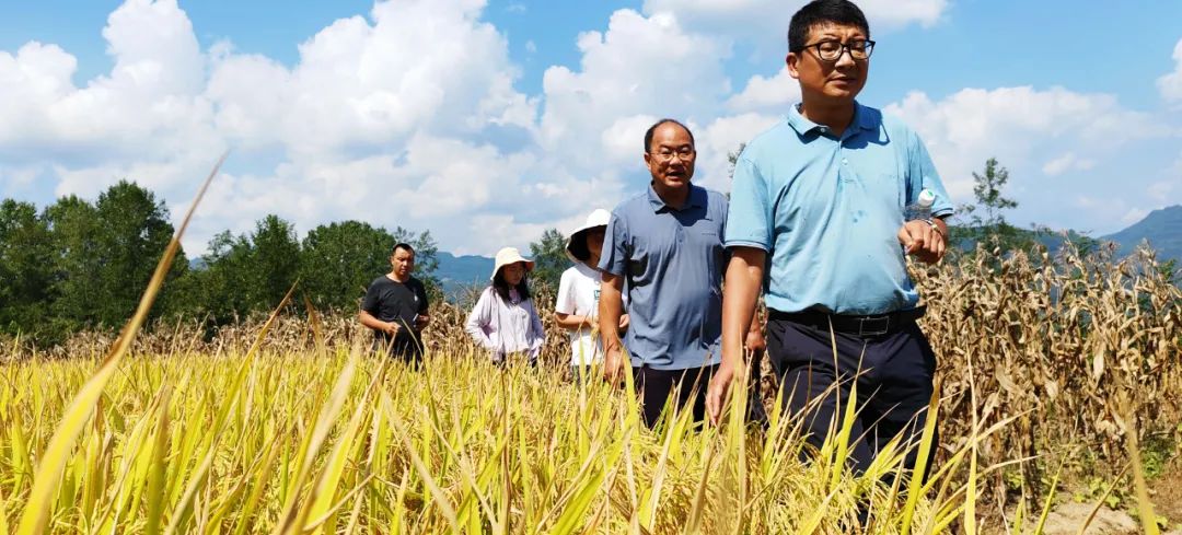 四川省富硒产品种植基地