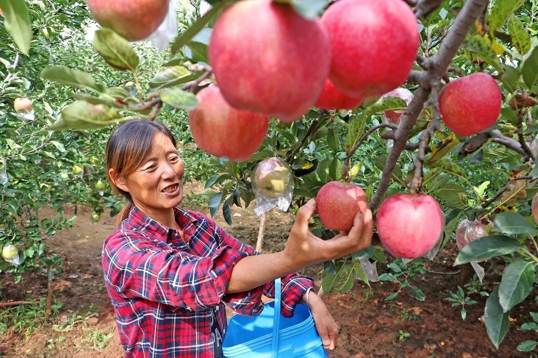 邵原镇第一节富硒农产品