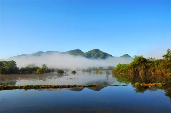 恩施鹤峰下坪富硒茶简介