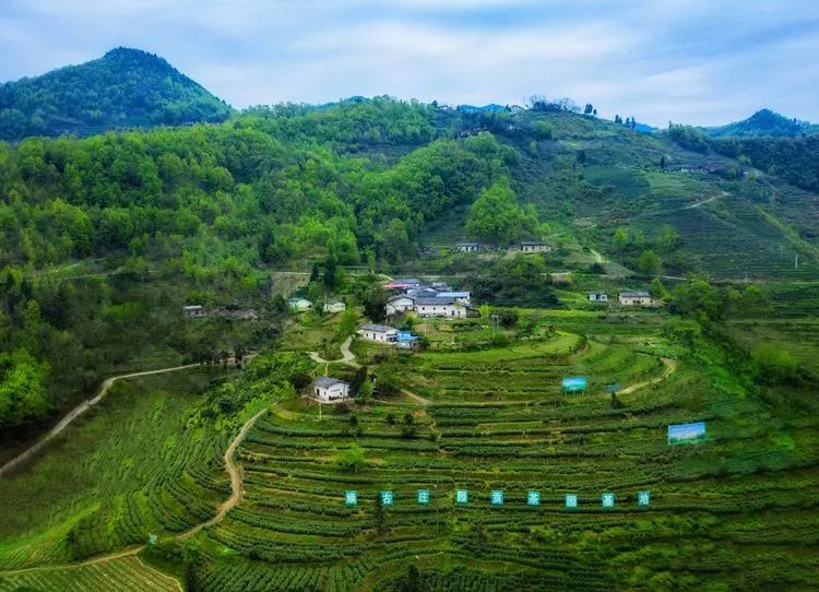 焕古茶业紫阳富硒茶礼盒