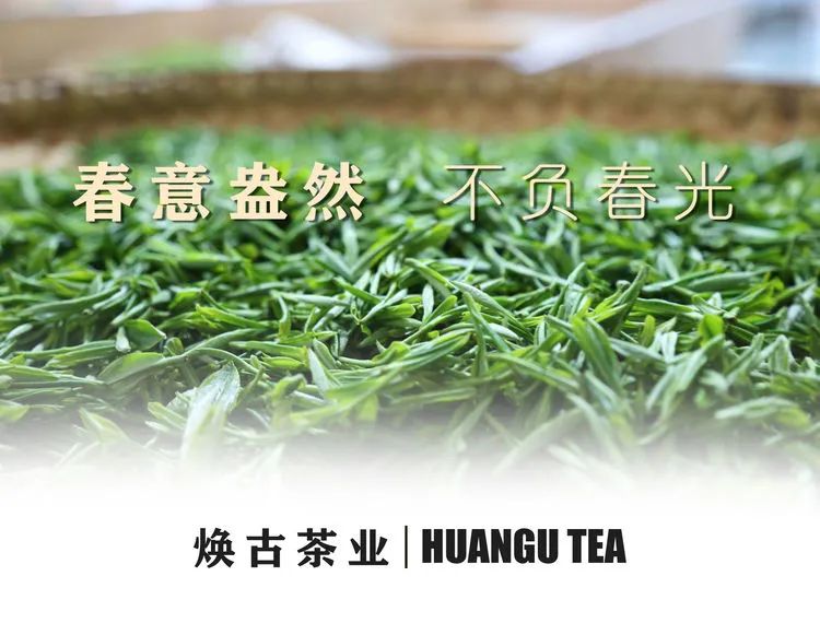 焕古茶业紫阳富硒茶礼盒