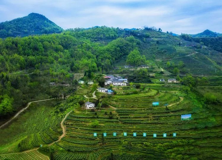 焕古茶业紫阳富硒茶礼盒