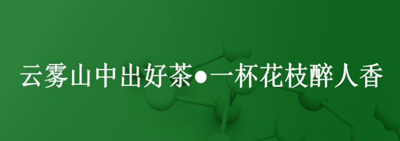 受欢迎的富硒茶玉露公司