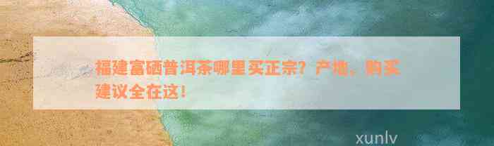 福建富硒普洱茶哪里买正宗？产地、购买建议全在这！