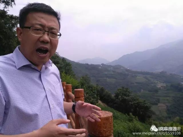 什么地方生产高山富硒茶