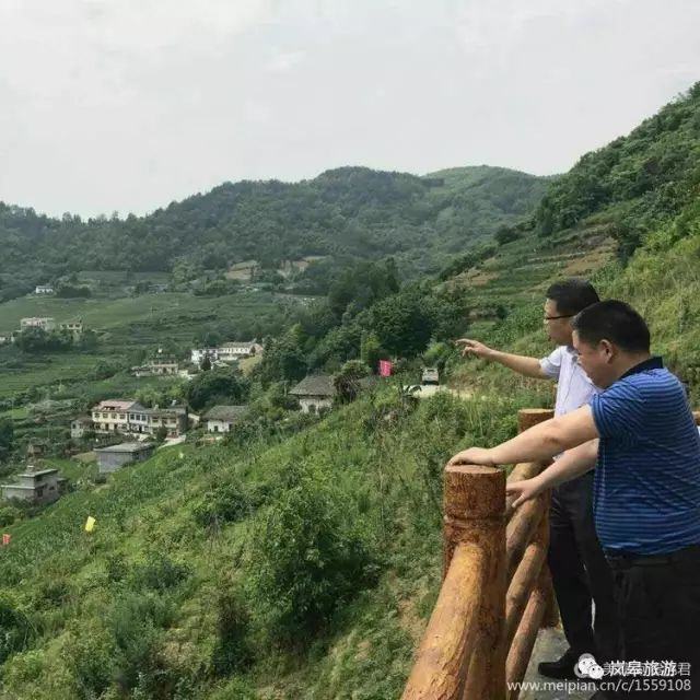 什么地方生产高山富硒茶