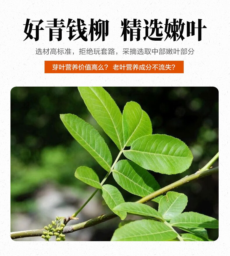 富硒青钱柳黄精茶珍吃法