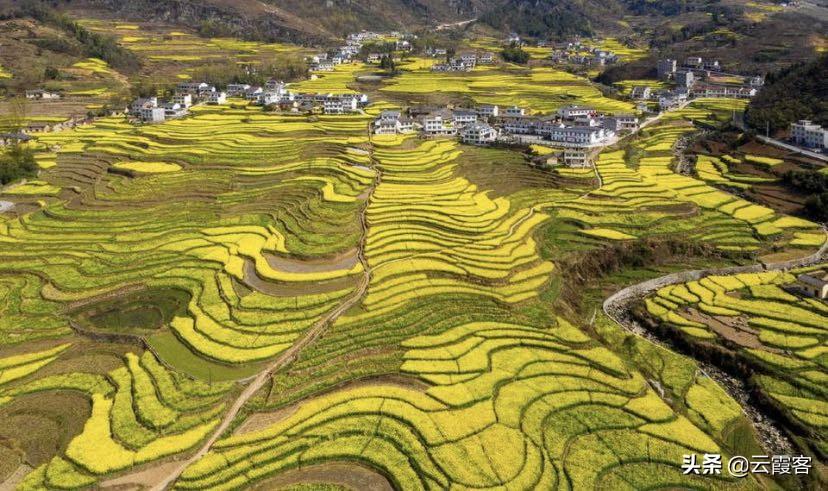 安康南宫山富硒茶怎么样