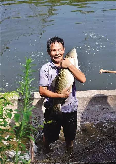 江津富硒茶土壤富硒含量