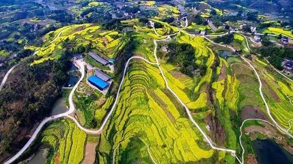 江津富硒茶土壤富硒含量