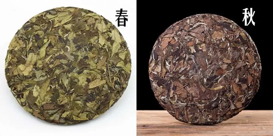 富硒茶属于什么茶类等级