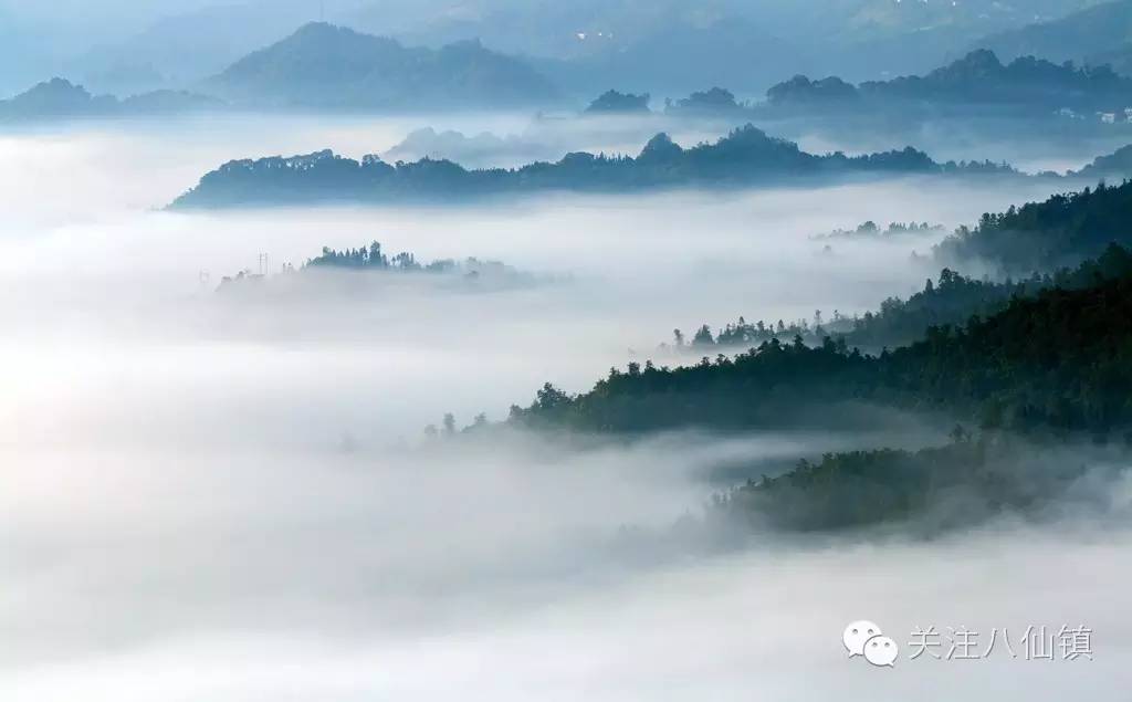 安康富硒茶特色是什么茶