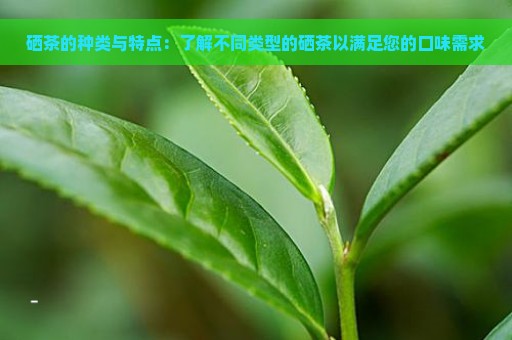 硒茶的种类与特点：了解不同类型的硒茶以满足您的口味需求