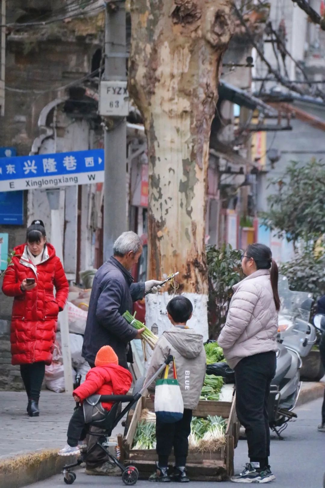 安康富硒茶官方介绍语言