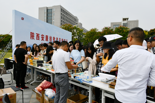 紫阳富硒茶采摘现场视频