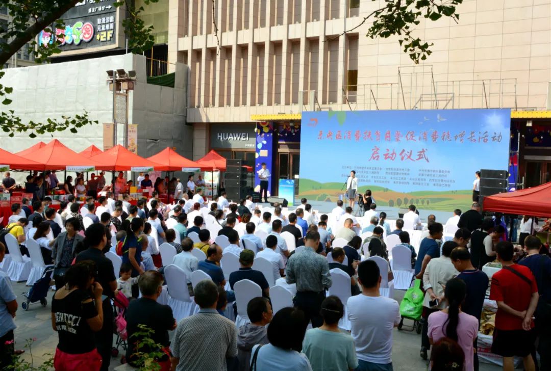 紫阳富硒茶采摘现场视频