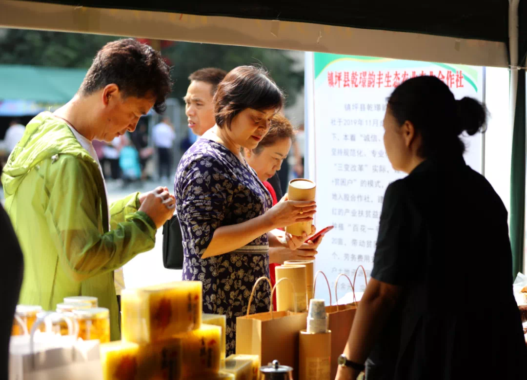 紫阳富硒茶采摘现场视频