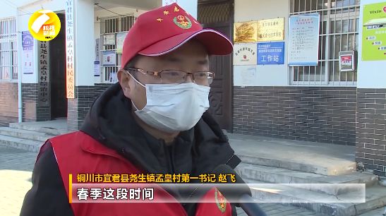 紫阳富硒茶采摘现场视频