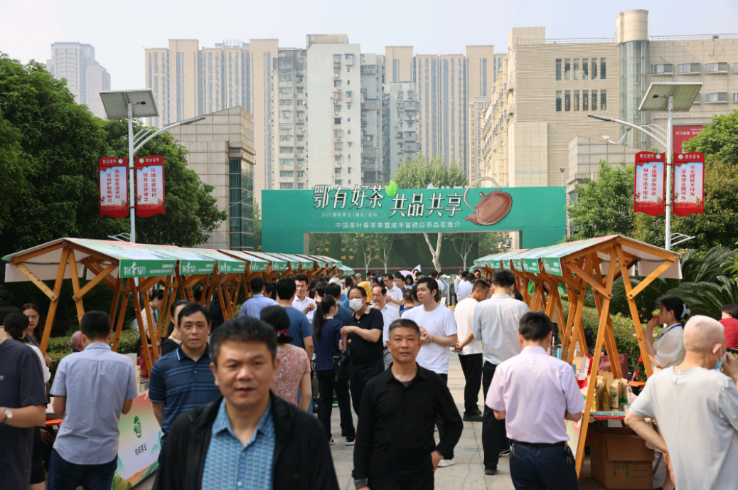 江西富硒茶恩施玉露加工