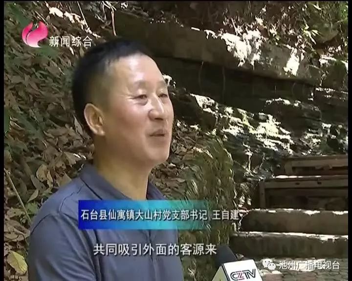 仙寓山富硒茶属于什么茶