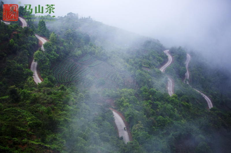 西岩高山富硒茶是什么茶