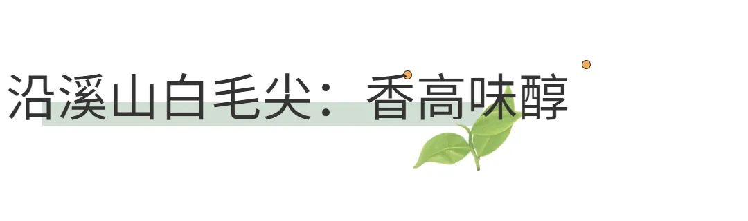 西岩高山富硒茶是什么茶