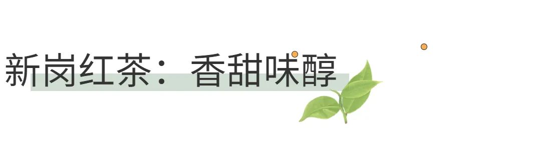 西岩高山富硒茶是什么茶